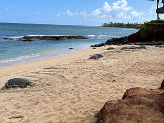Hawaii