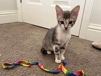 Tinker
